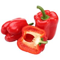 Sandveld Seeds Jumbo Red Pepper